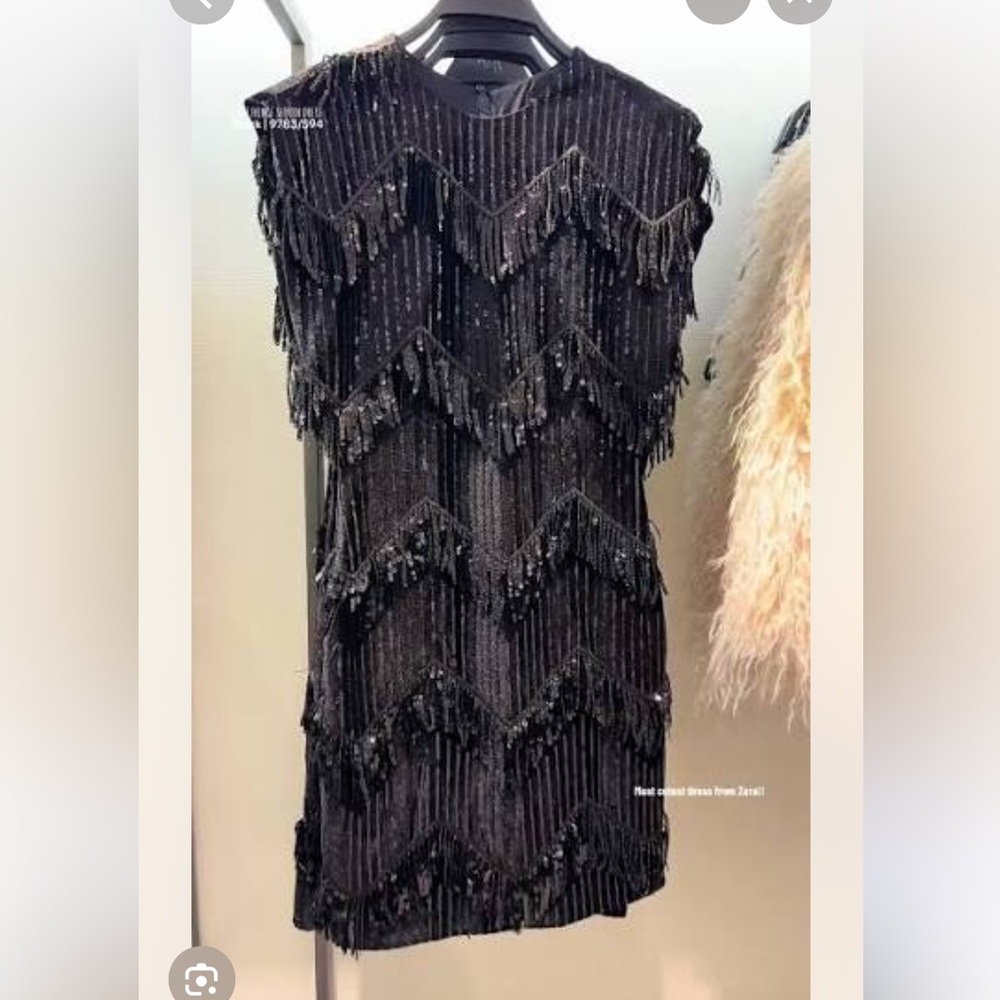 NWT ZARA  FRINGED Sequin Dress size XS AND S
🚨FIRM PRICE NO DISCOUNT - Picture 5 of 15